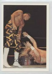 Sean Royal #224 Wrestling Cards 1988 Wonderama NWA Prices