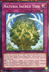 Naturia Sacred Tree YuGiOh OTS Tournament Pack 20 Prices