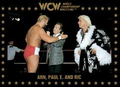 Arn, Paul E. and Ric Wrestling Cards 1991 Championship Marketing WCW Prices