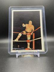 Dusty Rhodes #120 Wrestling Cards 1988 Wonderama NWA Prices