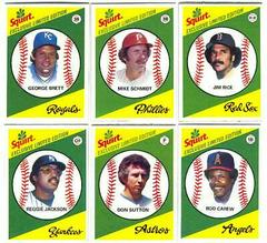 Rod Carew Baseball Cards 1981 Squirt Prices