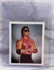 Bret Hart #36 Wrestling Cards 1992 Merlin WWF Stickers Prices