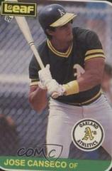 Jose Canseco Baseball Cards 1987 Leaf Prices