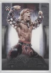 Shawn Michaels #GS-14 Wrestling Cards 2021 Topps WWE Undisputed Grand Slam Champions Prices