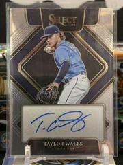 Taylor Walls Baseball Cards 2022 Panini Select Signatures Prices