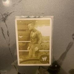 The Miz [Gold] Wrestling Cards 2011 Topps WWE Prices