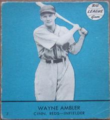 Wayne Ambler [Blue Background] #7 Baseball Cards 1941 Goudey Prices