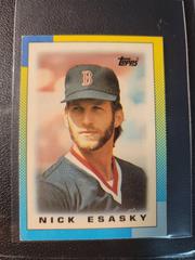 Nick Esasky #5 Baseball Cards 1990 Topps Mini League Leaders Prices