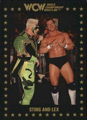 Sting and Lex Wrestling Cards 1991 Championship Marketing WCW Prices