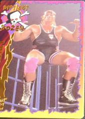 Owen Hart Wrestling Cards 1995 Action Packed WWF 24 Kt. Gold Prices
