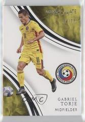 Gabriel Torje #14 Soccer Cards 2017 Panini Immaculate Prices