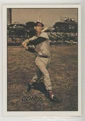 Ted Williams #10 Baseball Cards 1979 TCMA Baseball History Series Prices