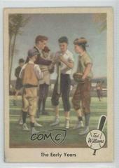 The Early Years #1 Baseball Cards 1959 Fleer Ted Williams Prices