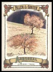 Cherry Tree #AA-8 Baseball Cards 2021 Topps Allen & Ginter Arboreal Appreciation Prices