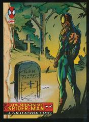 A Graveside Vow! Marvel 1994 Fleer Amazing Spider-Man Prices