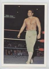 Ricky Santana #62 Wrestling Cards 1988 Wonderama NWA Prices
