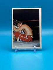 Robert Gibson Wrestling Cards 1988 Wonderama NWA Prices