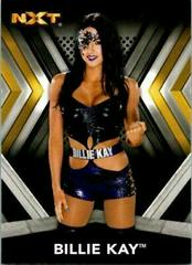 Billie Kay Wrestling Cards 2017 Topps WWE NXT Prices
