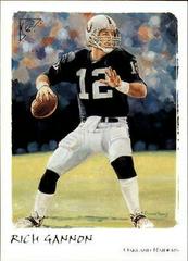 Rich Gannon #71 Football Cards 2002 Topps Gallery Prices