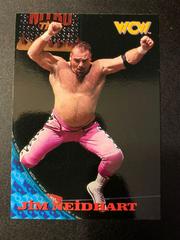 Jim Neidhart Wrestling Cards 1998 Topps WCW/nWo Prices