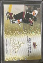 Liam O’Brien [Gold Sparkle] #DB-7 Hockey Cards 2023 Upper Deck Director of Boards Prices