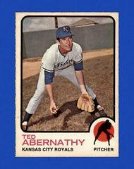 Ted Abernathy #22 Baseball Cards 1973 O Pee Chee Prices