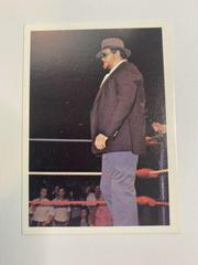 Big Bubba Rogers Wrestling Cards 1988 Wonderama NWA Prices