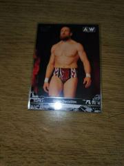 Bryan Danielson #1 Wrestling Cards 2023 Upper Deck AEW Prices
