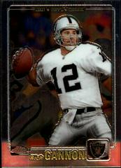 Rich Gannon #9 Football Cards 2001 Topps Chrome Prices