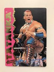 Tatanka Wrestling Cards 1995 Action Packed WWF Prices