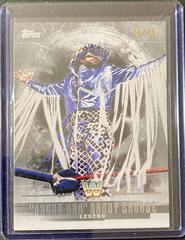 Randy Savage [Silver] Wrestling Cards 2017 Topps WWE Undisputed Prices