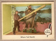 Where Ted Stands #79 Baseball Cards 1959 Fleer Ted Williams Prices