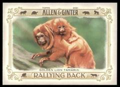 Golden Lion Tamarin #RB-8 Baseball Cards 2021 Topps Allen & Ginter Rallying Back Prices