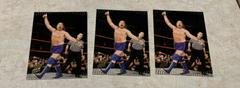 Hacksaw Jim Duggan #7 Wrestling Cards 2007 Topps Action WWE Prices