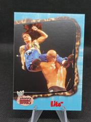 Lita #45 Wrestling Cards 2002 Fleer WWE Absolute Divas Prices
