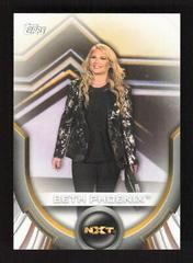 Beth Phoenix Wrestling Cards 2020 Topps WWE Women's Division Roster Prices
