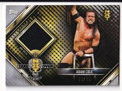 Adam Cole [Silver] Wrestling Cards 2019 Topps WWE Road to Wrestlemania Mat Relics Prices