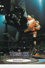 Undertaker Wrestling Cards 2003 Fleer WWE WrestleMania XIX Prices