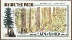 Redwood National Park #ITP-19 Baseball Cards 2022 Topps Allen & Ginter Mini Inside the Park Prices