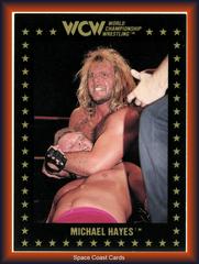 Michael Hayes #3 Wrestling Cards 1991 Championship Marketing WCW Prices