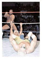 Ric Flair, Sting #48 Wrestling Cards 1988 Wonderama NWA Prices