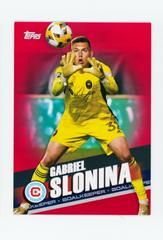 Chicago Fire FC [Red] Soccer Cards 2020 Topps MLS Prices
