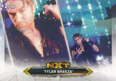 Tyler Breeze Wrestling Cards 2020 Topps WWE NXT Roster Prices