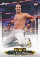 Angel Garza Wrestling Cards 2020 Topps WWE NXT Roster Prices