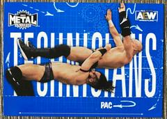 PAC Wrestling Cards 2022 SkyBox Metal Universe AEW Technicians Prices