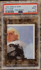 Ric Flair #46 Wrestling Cards 1992 Merlin WWF Stickers Prices