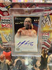 Billy Gunn [Silver] Wrestling Cards 2014 Topps WWE Autographs Prices