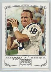 Peyton Manning [Silver] Football Cards 2009 Topps Mayo Prices