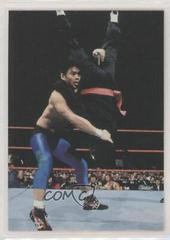 Taka Michinoku Wrestling Cards 1998 WWF Superstarz Prices