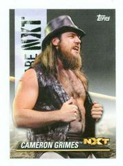 Cameron Grimes Wrestling Cards 2021 Topps WWE We Are NXT Prices